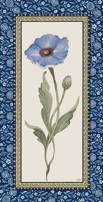 Image Not Available